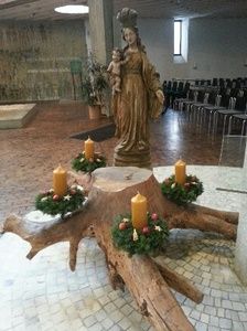 Die Adventswurzel in Maria, Königin des Friedens