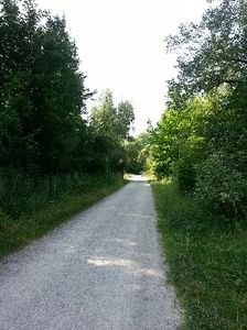 Auf dem Weg zum Schuttberg - vom Parkplatz am Europaweiher kommend.